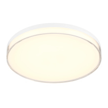 Vantage 769-2-44-L - 13" LED Flush Mount
